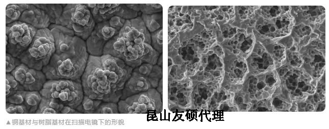 金华蔡司金华扫描电镜