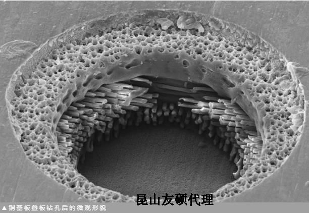 金华蔡司金华扫描电镜